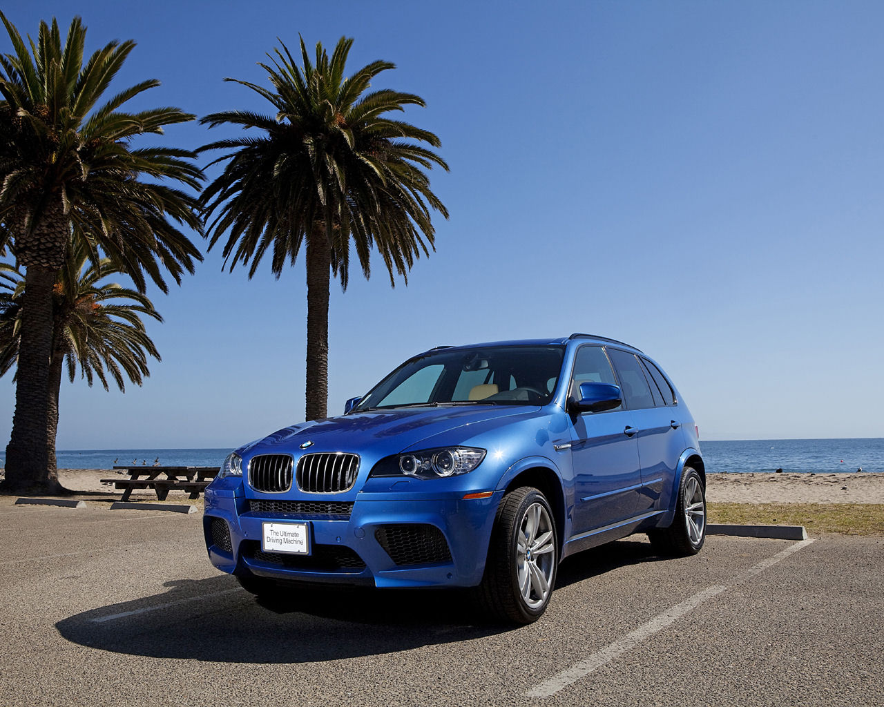 BMW X5 Desktop Wallpaper