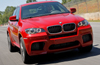 2010 BMW X6 M Picture