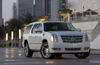 2009 Cadillac Escalade ESV Picture