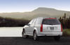 2009 Cadillac SRX Picture