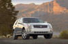 2009 Cadillac SRX Picture