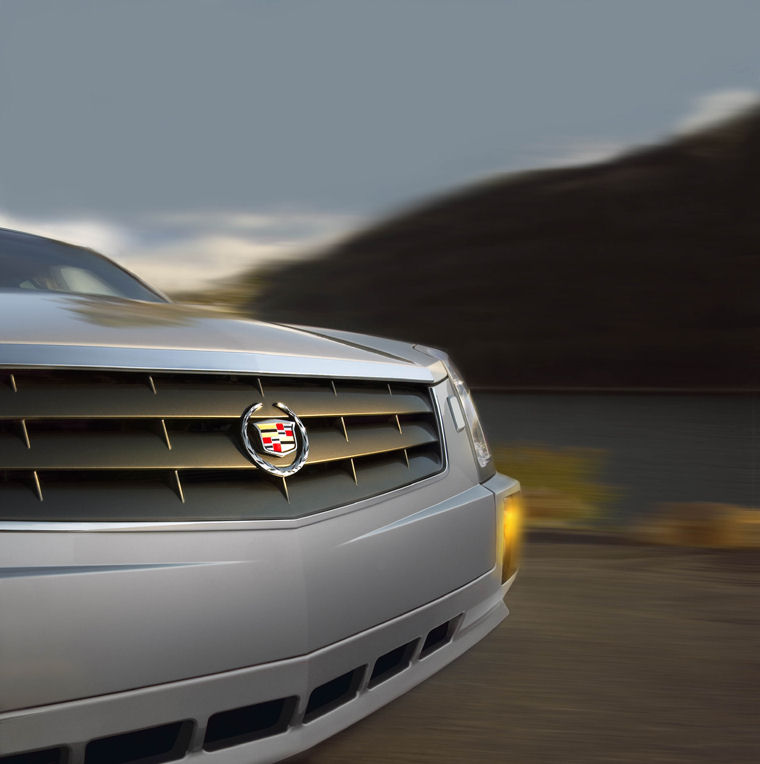 2009 Cadillac SRX Grille Picture