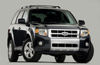 2009 Ford Escape Limited Picture