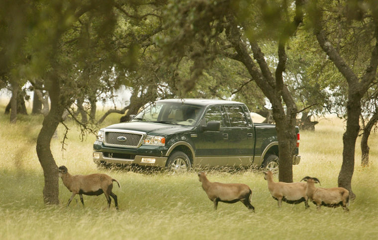 2004 Ford F150 Super Crew Picture