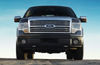 2010 Ford F150 Super Crew Platinum Picture