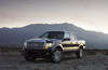 2010 Ford F150 Super Crew Platinum Picture