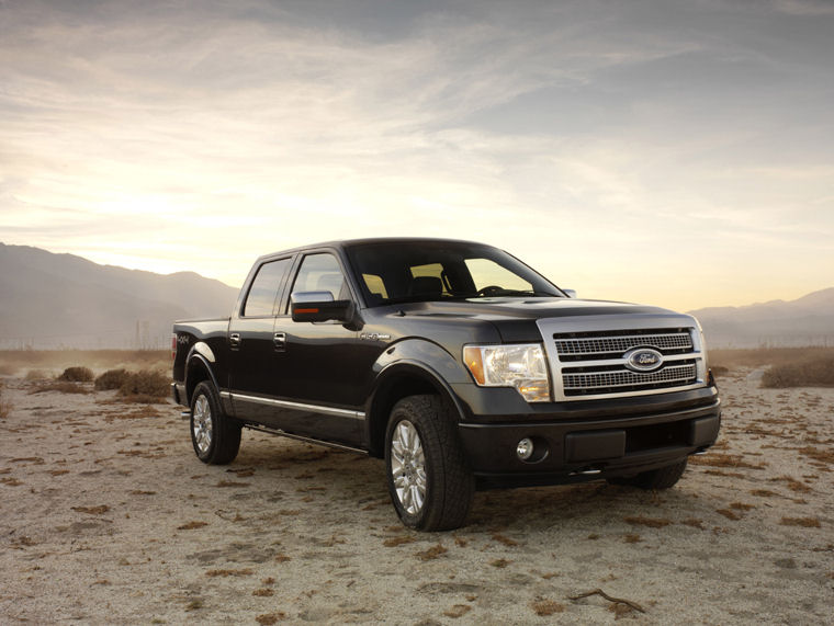 2010 Ford F150 Super Crew Platinum Picture