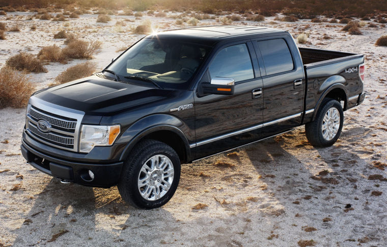 2010 Ford F150 Super Crew Platinum Picture