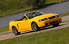 2003 Ford Mustang SVT Cobra Picture