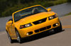 2003 Ford Mustang SVT Cobra Picture