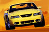 2003 Ford Mustang SVT Cobra Picture