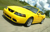 2003 Ford Mustang SVT Cobra Picture