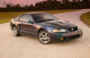 2003 Ford Mustang SVT Cobra Picture