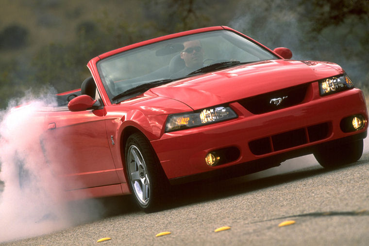 2003 Ford Mustang SVT Cobra Picture