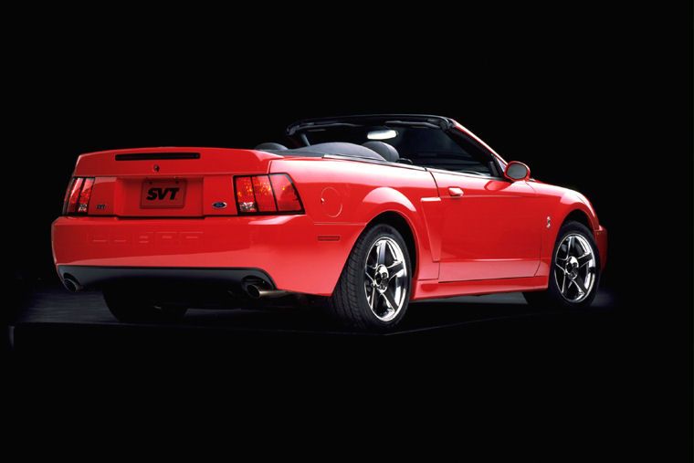 2003 Ford Mustang SVT Cobra Picture