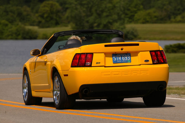 2003 Ford Mustang SVT Cobra Picture