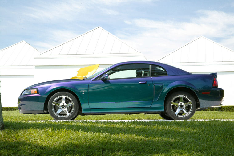 2003 Ford Mustang SVT Cobra Picture