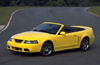 Picture of 2004 Ford Mustang SVT Cobra