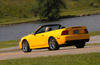 2004 Ford Mustang SVT Cobra Picture