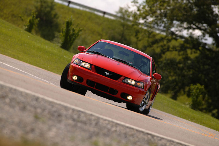 2004 Ford Mustang SVT Cobra Picture
