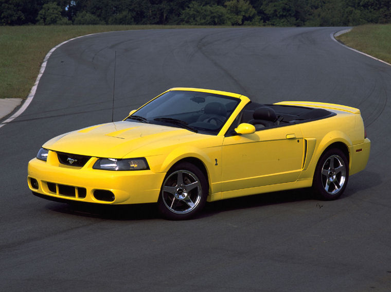 2004 Ford Mustang SVT Cobra Picture
