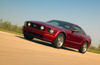 Picture of 2005 Ford Mustang GT