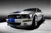 2008 Shelby GT500 KR Picture