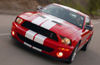 2008 Shelby GT500 Picture