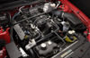 2008 Shelby GT500 5.4L V8 Engine Picture