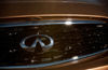 2009 Infiniti FX35 Grille Picture