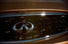 Picture of 2010 Infiniti FX35 Grille