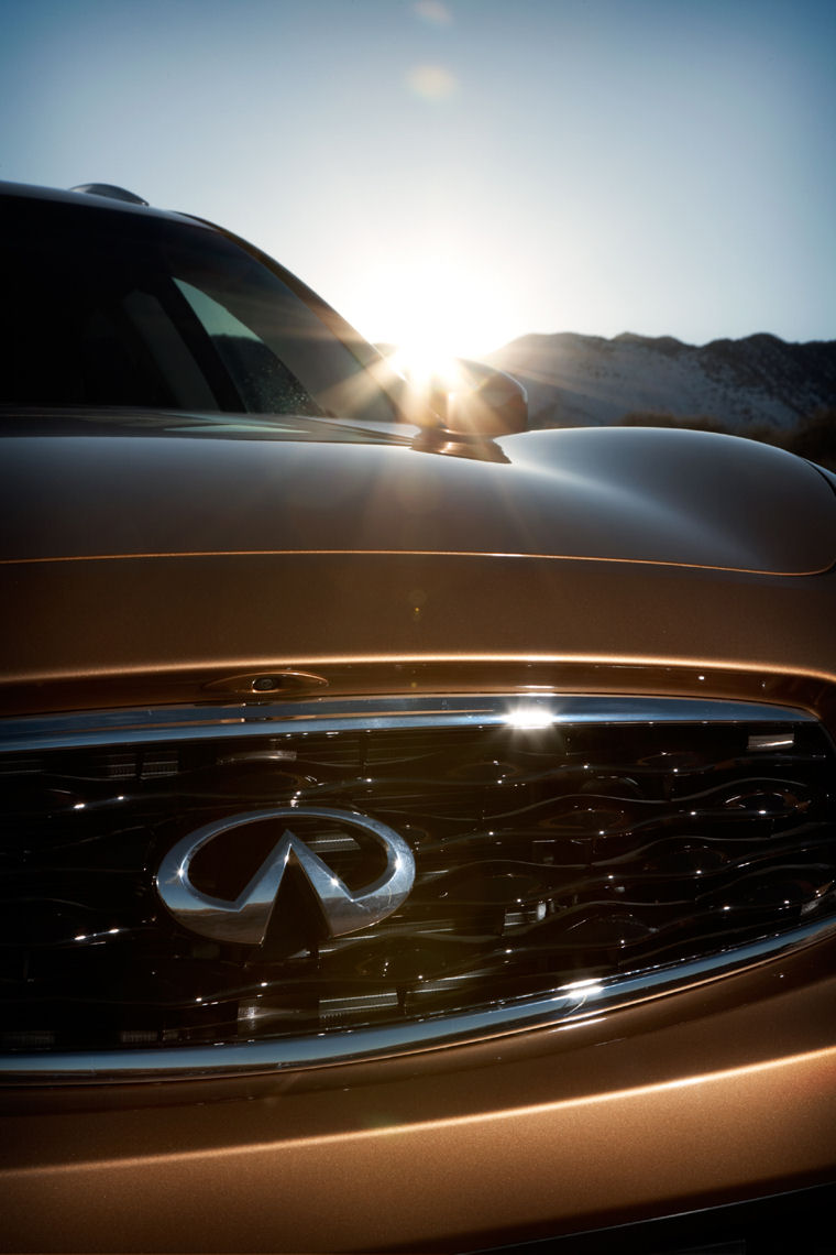 2011 Infiniti FX35 Grille Picture