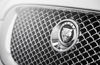 2011 Jaguar XFR Grille Picture