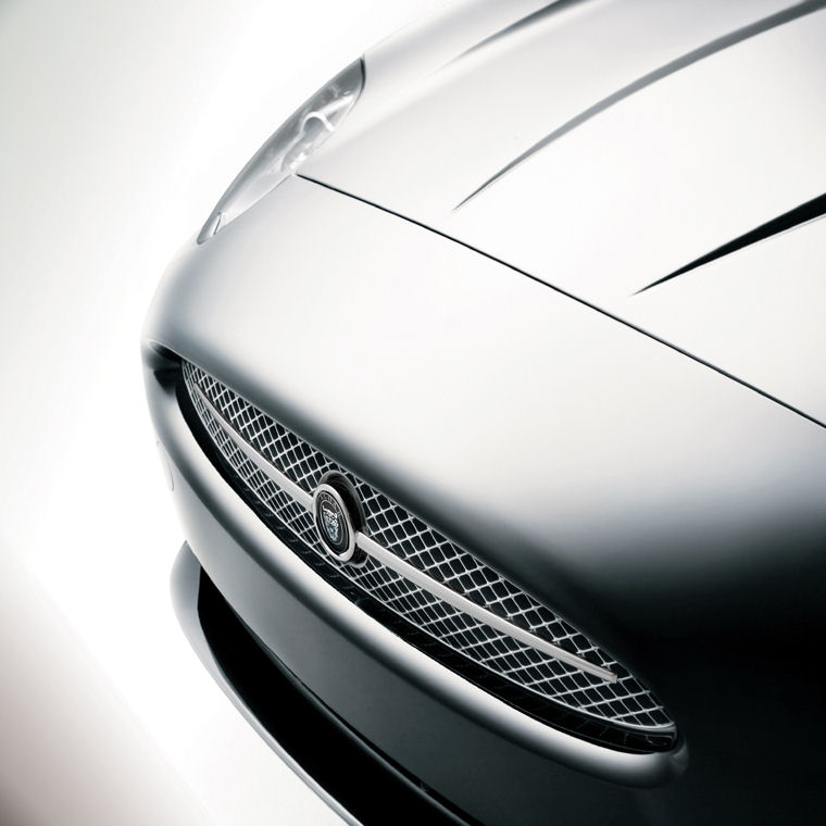 2009 Jaguar XK Coupe Grille Picture