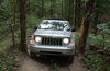 2010 Jeep Liberty Limited 4WD Picture