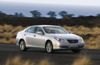 2008 Lexus ES 350 Picture