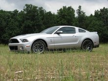 2011 Shelby GT500