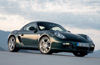 2009 Porsche Cayman S Picture