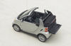 2008 Smart Fortwo Cabrio Picture