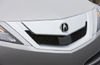 2010 Acura ZDX Grille Picture