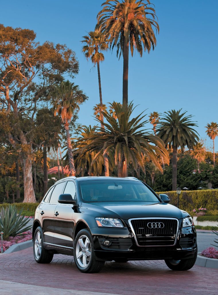 2010 Audi Q5 Picture