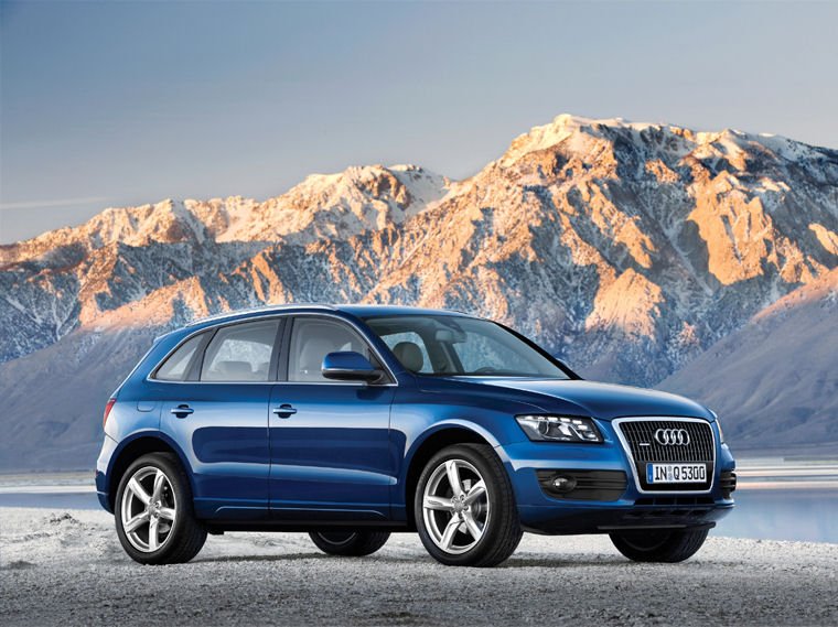 2010 Audi Q5 Picture