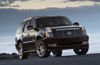 2010 Cadillac Escalade Picture