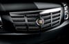 Picture of 2010 Cadillac Escalade EXT Grille