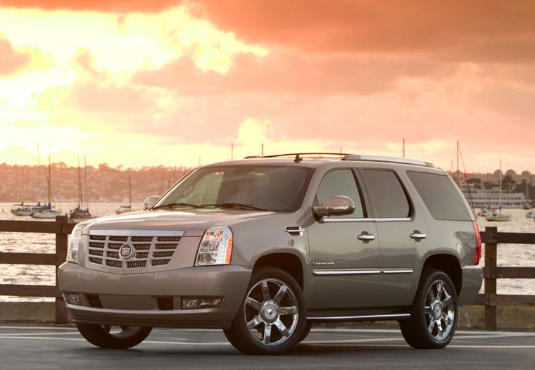 2010 Cadillac Escalade Picture
