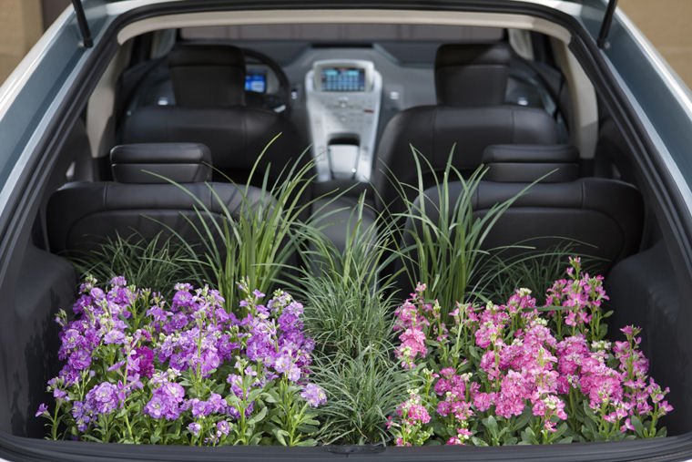 2011 Chevrolet (Chevy) Volt Trunk Picture