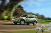 Picture of 2009 Ford Escape Hybrid