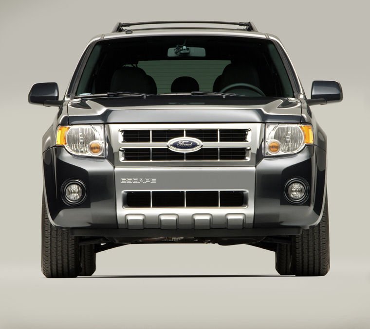 2010 Ford Escape Limited Picture