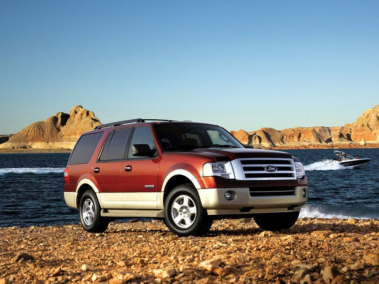 2010 Ford Expedition Picture