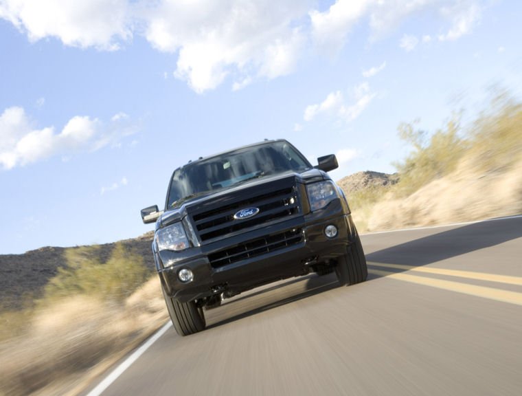 2010 Ford Expedition Picture